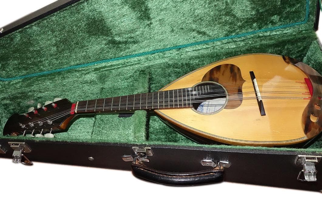 カラーチェ マンドリン RAFFAELE CALACE TYPE24 Z22