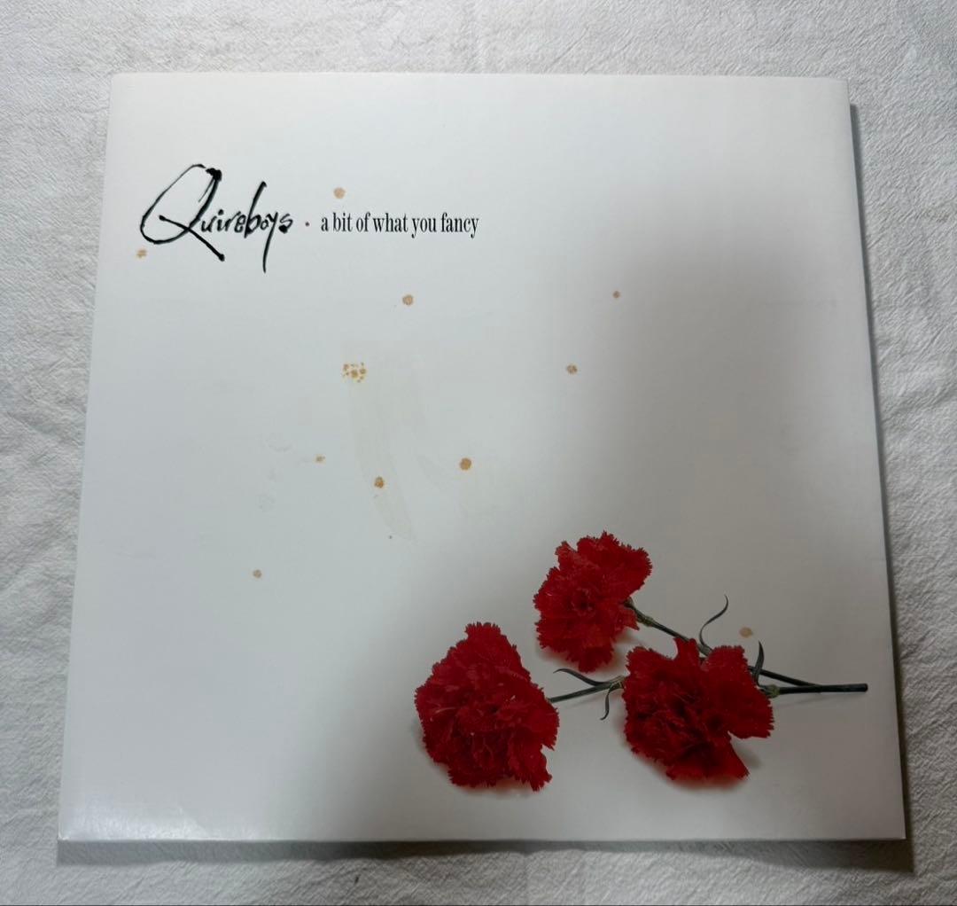 洋楽 Quireboys / A Bit Of What You Fancy LP