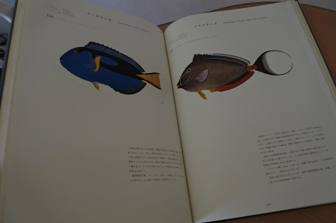 日本産魚類大図鑑　檜山義夫　安田富士郎　著　昭和46年初版