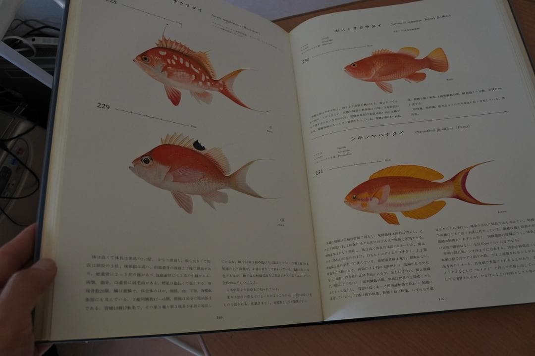 日本産魚類大図鑑　檜山義夫　安田富士郎　著　昭和46年初版
