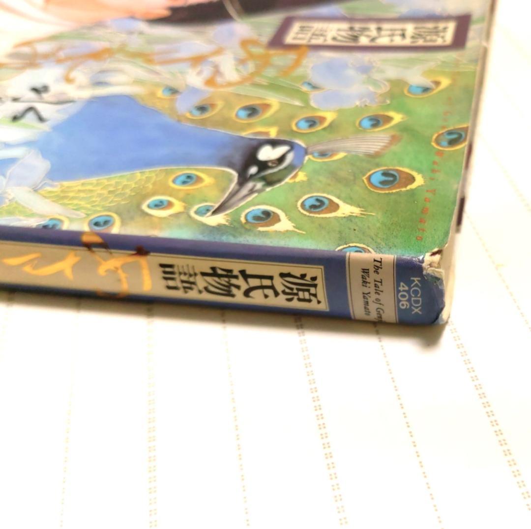 源氏物語 あさきゆめみし(6)水の章 大和和紀mimi Best of Best