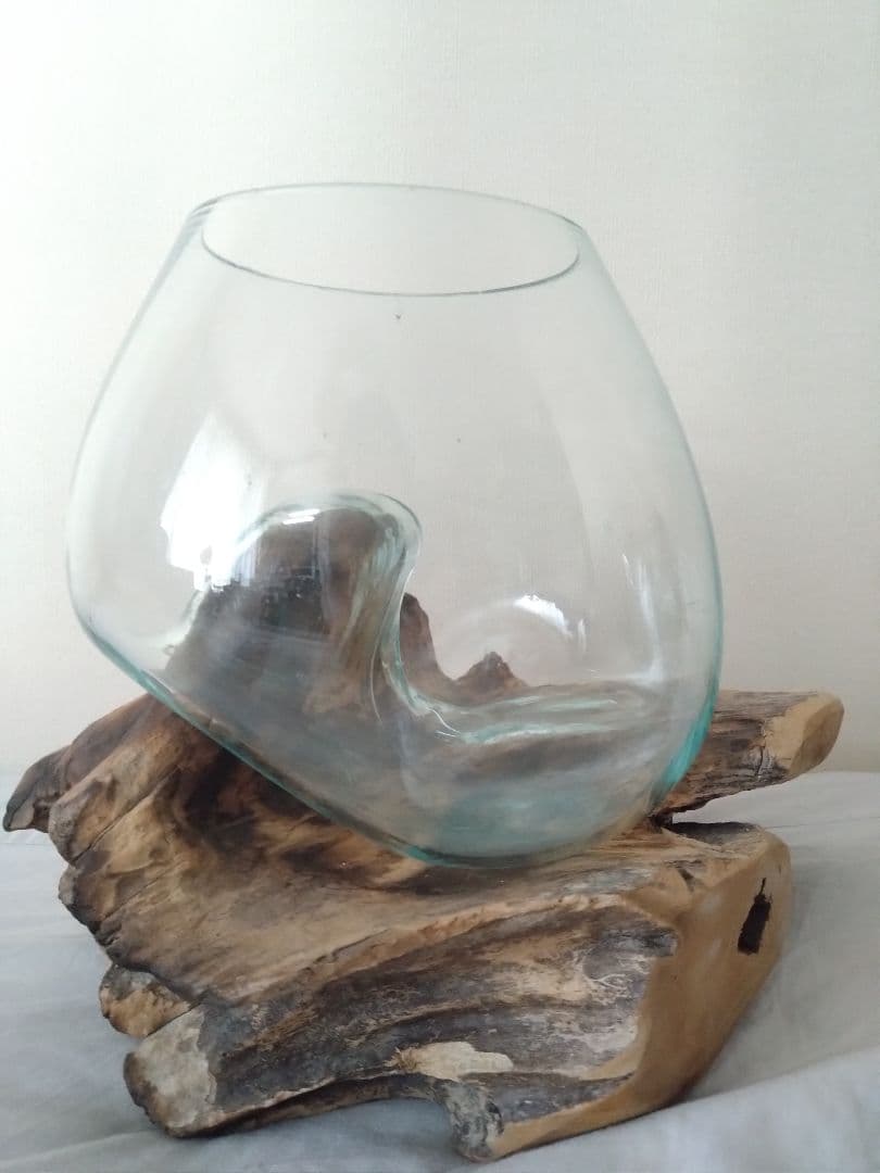 流木 テラリウム 球体ガラス 水槽 苔 観葉植物【値下げ】