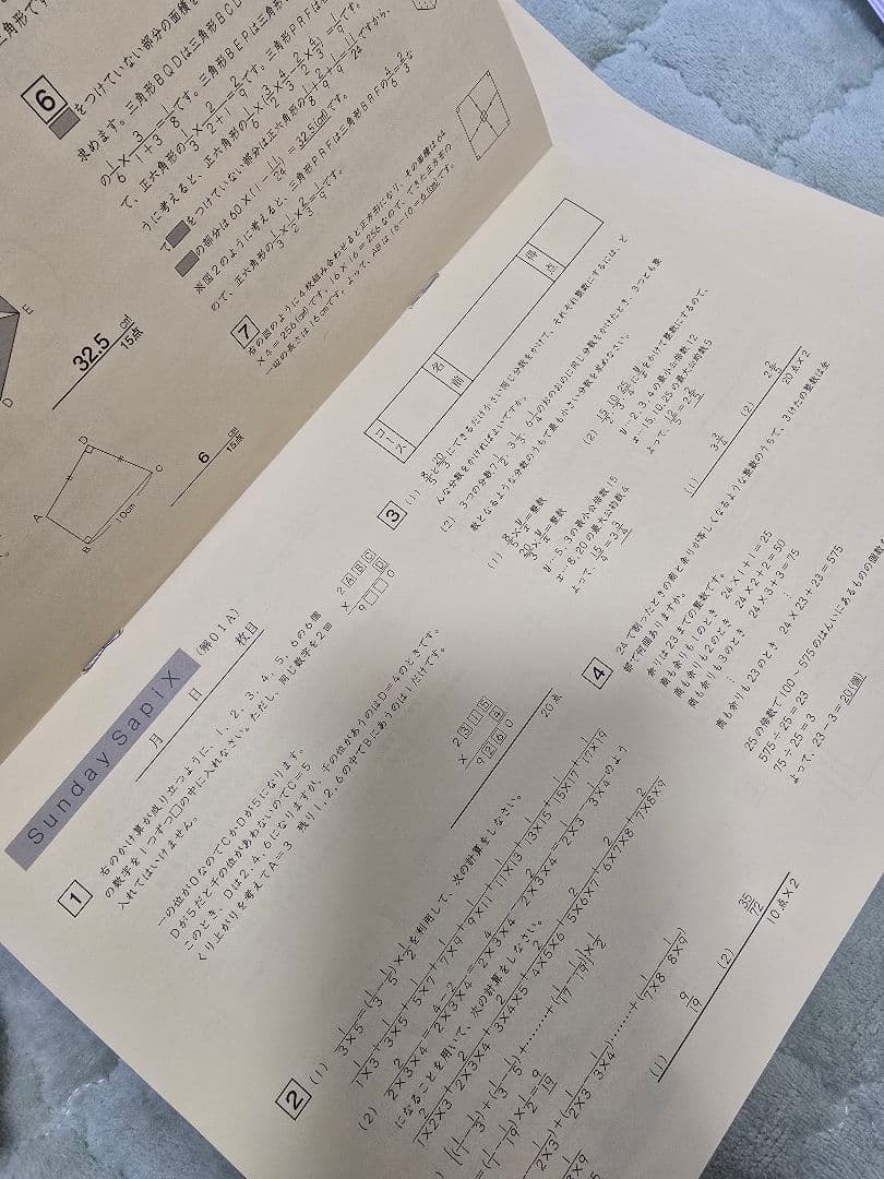 サピックス 6年 算数 SS特訓 解法力 01-14 全回分 / 復習テスト付き