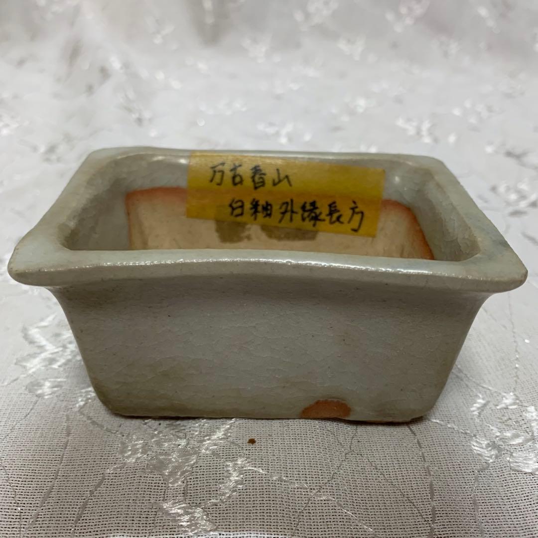 万古春山　長方　盆栽鉢