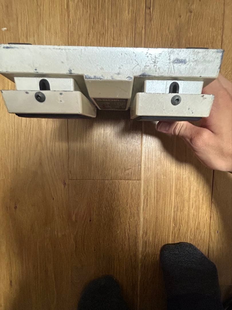 BOSS DD-20 めだか