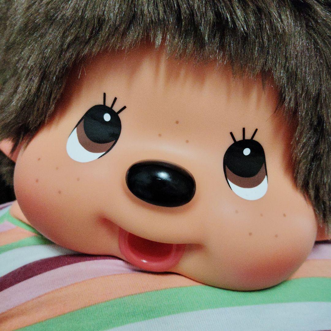 モンチッチ★アニメセレクション★男の子・女の子★セキグチ★2L