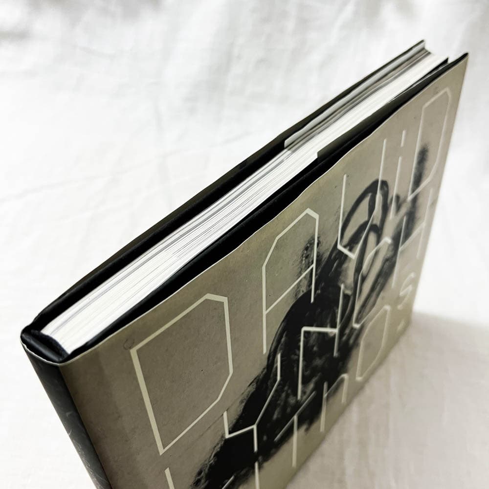 デヴィッド・リンチ, David Lynch, Lithos 画集.