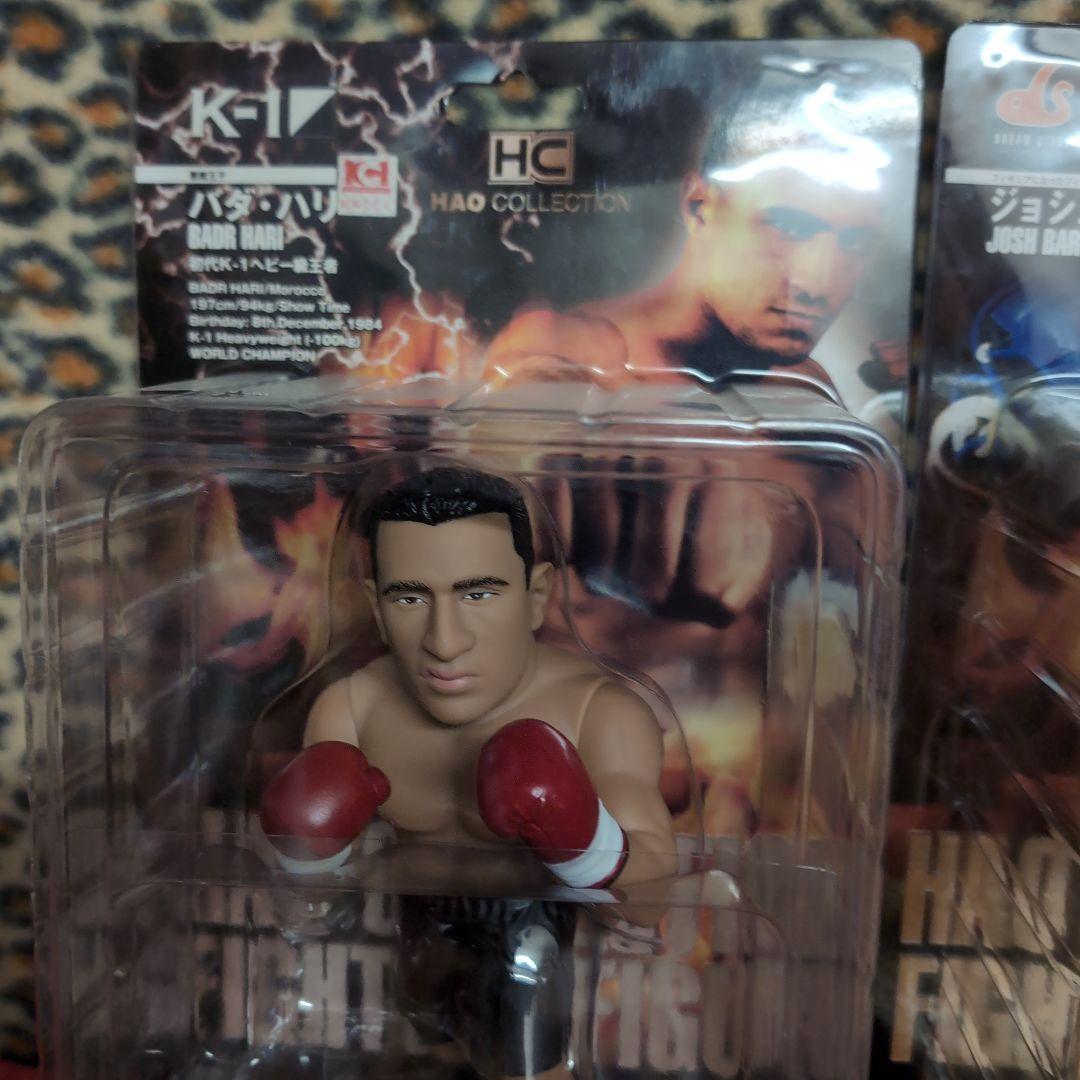 バダ・ハリ*ジョシュ・バーネット*マイティー*　マーク・ハント*チェ・ホンマン