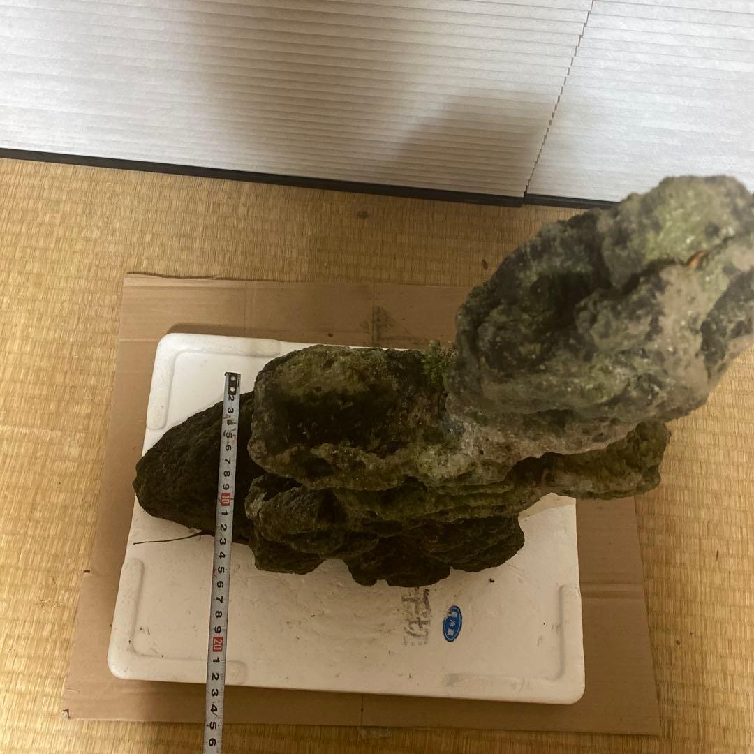 【美形】軽石　岩石　水槽　装飾 アクアリウム　NO3