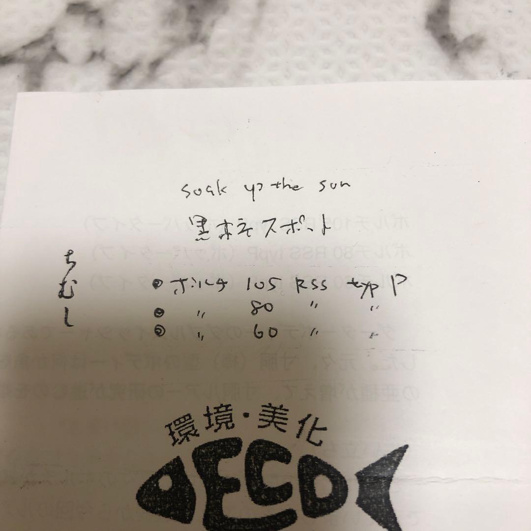 痴虫　ボルチ105RSS ソークアップザサン　チムシ