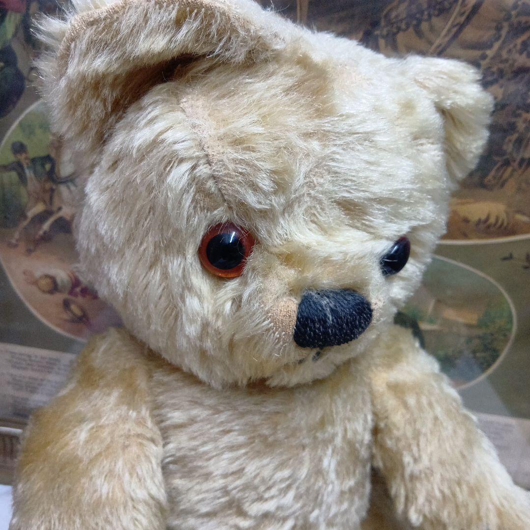 チコちゃん♥イギリスからやって来たクリクリお目目のアンティークチャドバレー