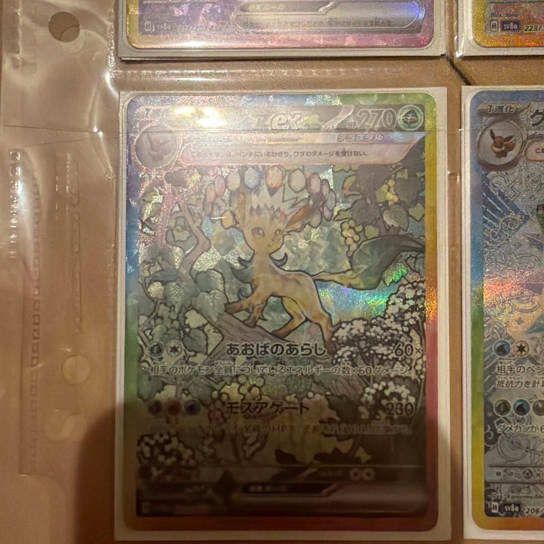 ブイズ コンプリート 10種 sar テラスタルフェス