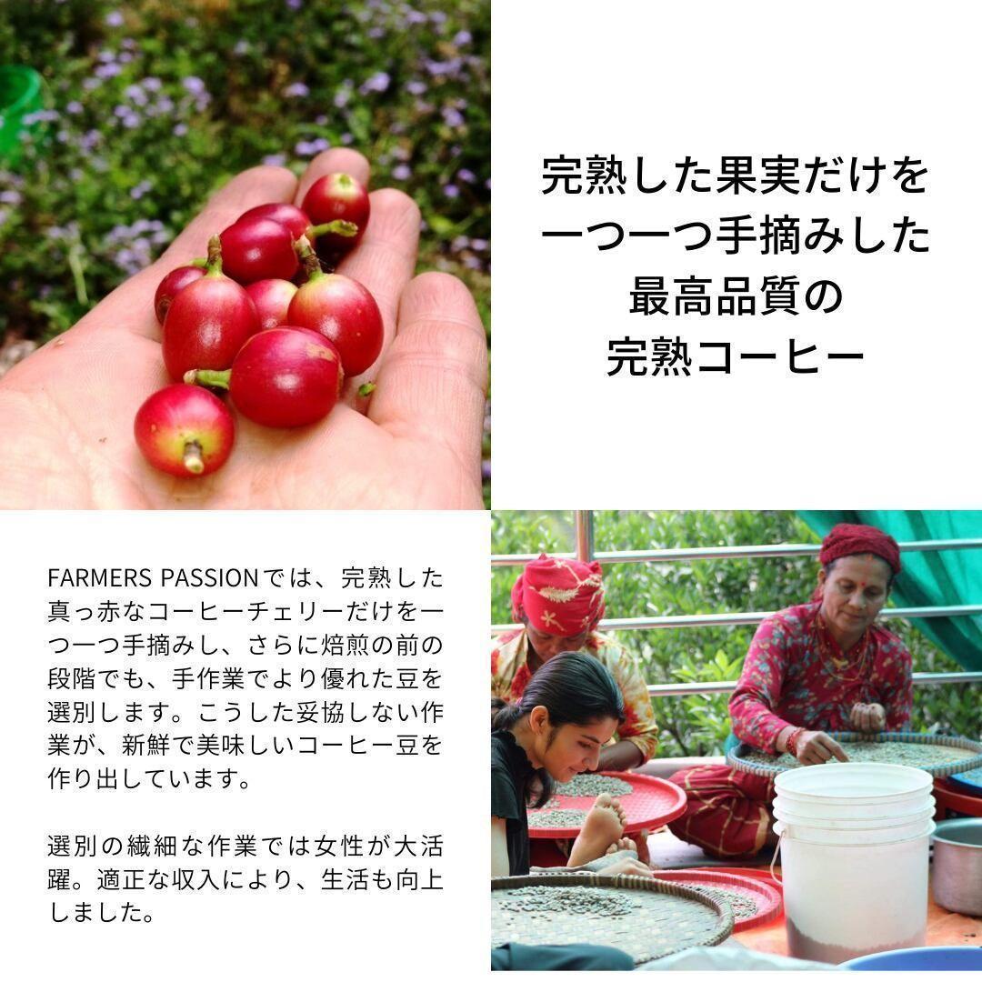 オーガニックコーヒー ライト フェアトレード 1kg 粉 コーヒー豆 ネパール