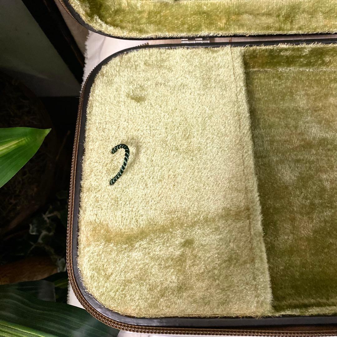 GEWAバイオリンケース ヴィンテージ