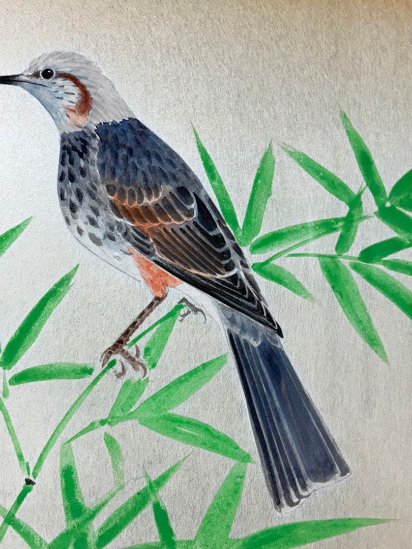 「鳥」　野々内保太郎　絵画　日本画 黄色袋 箱あり