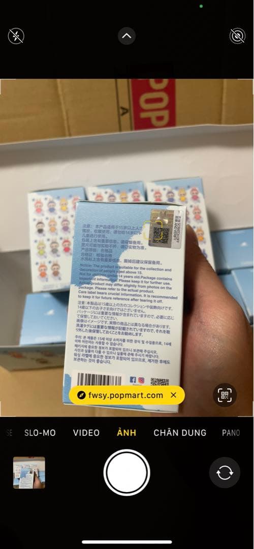 【正規品・未開封】Pin For Love N-Z 6箱