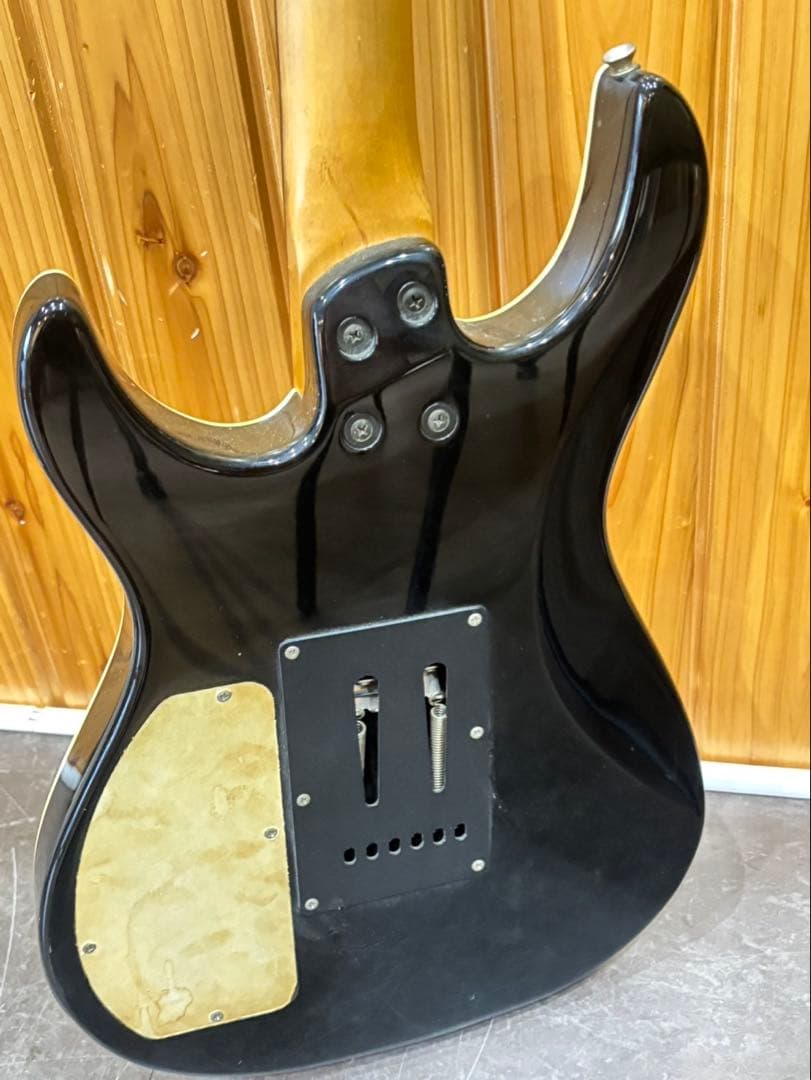 【 FERNANOES / エレキギター 】音楽　楽器 ギター フェルナンデス