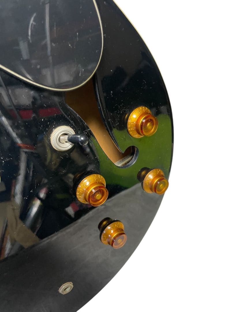 Epiphone DOT EB エピフォン セミアコ 純正ハードケース付