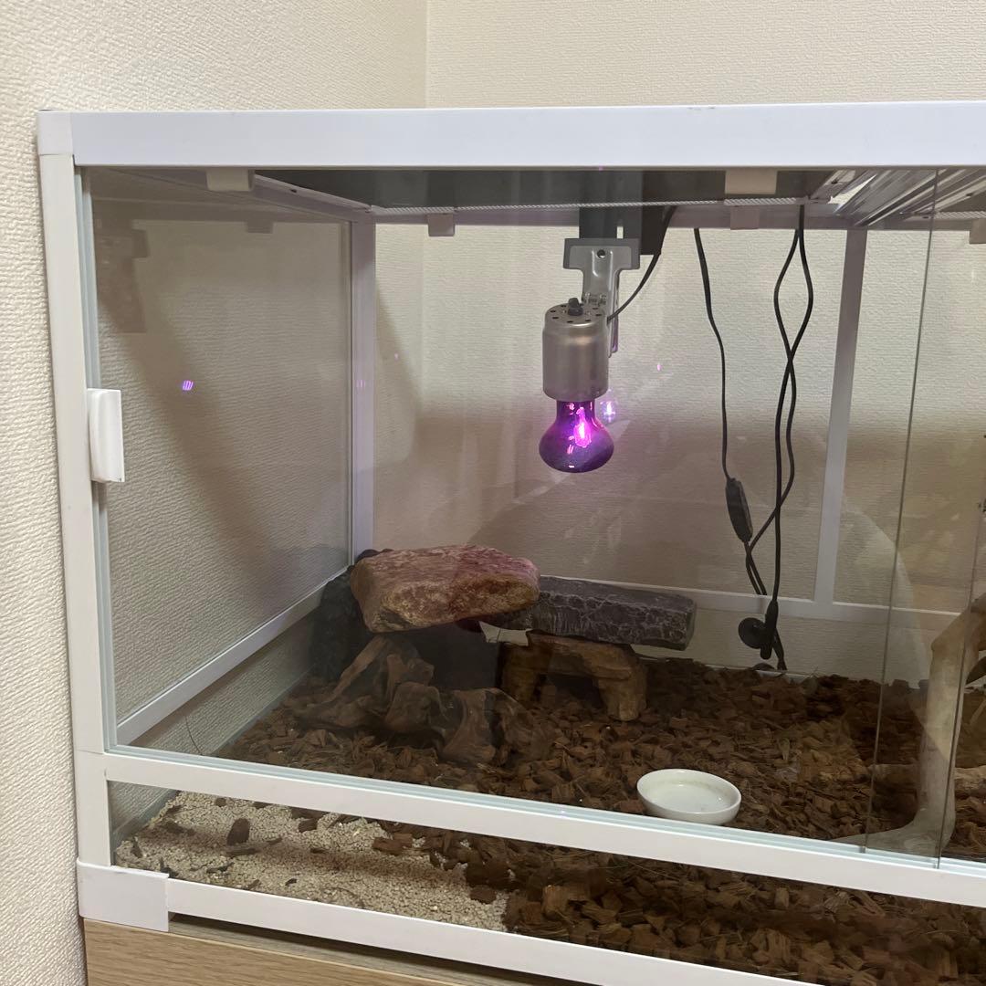 爬虫類・両生類用飼育ケージ パンテオン9045ホワイト　千葉県　発送不可