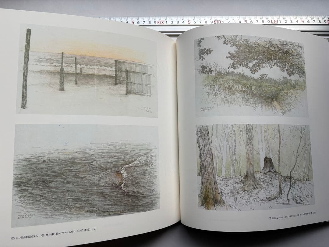 手塚雄二作品集　2冊　図録　大型本画集　日本画　絵画　素描