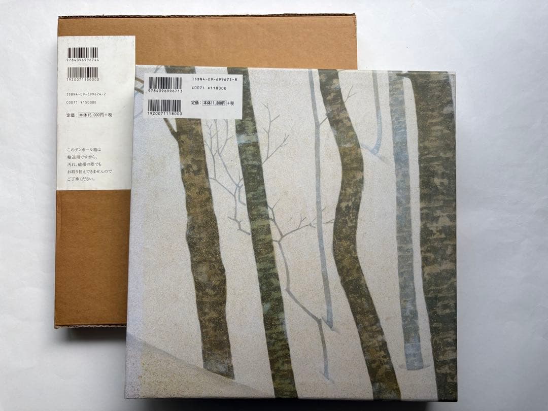 手塚雄二作品集　2冊　図録　大型本画集　日本画　絵画　素描