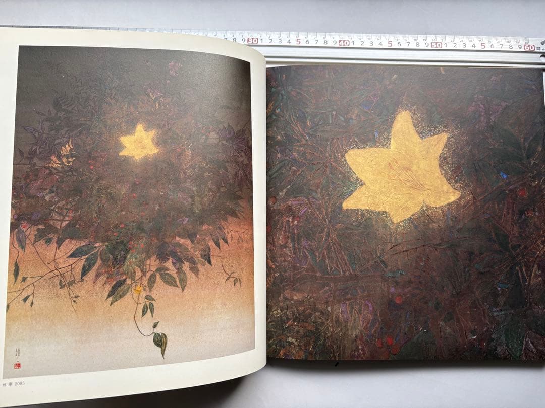 手塚雄二作品集　2冊　図録　大型本画集　日本画　絵画　素描