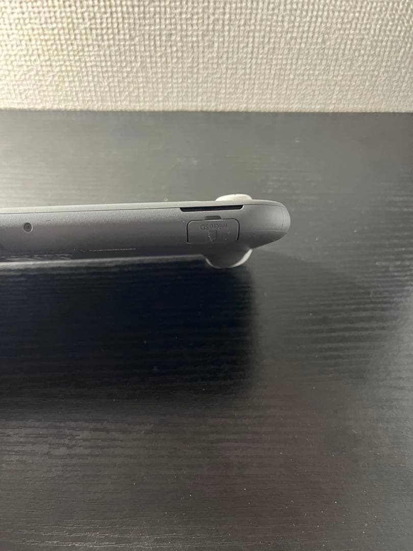 グレーの Nintendo Switch Lite、充電器 付き 大和桜