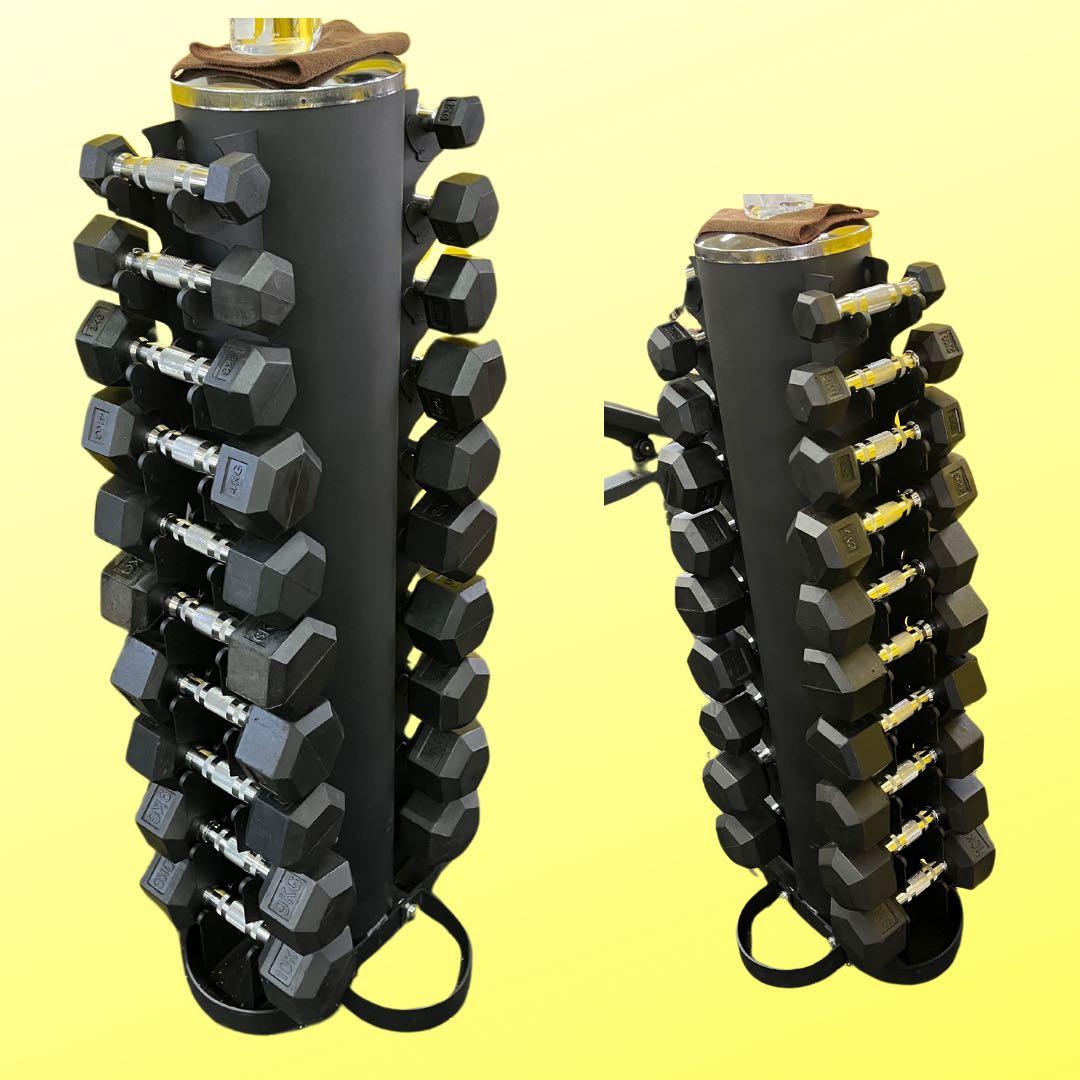 ダンベルスタンド& ヘックスラバーダンベル　1kgから10kg