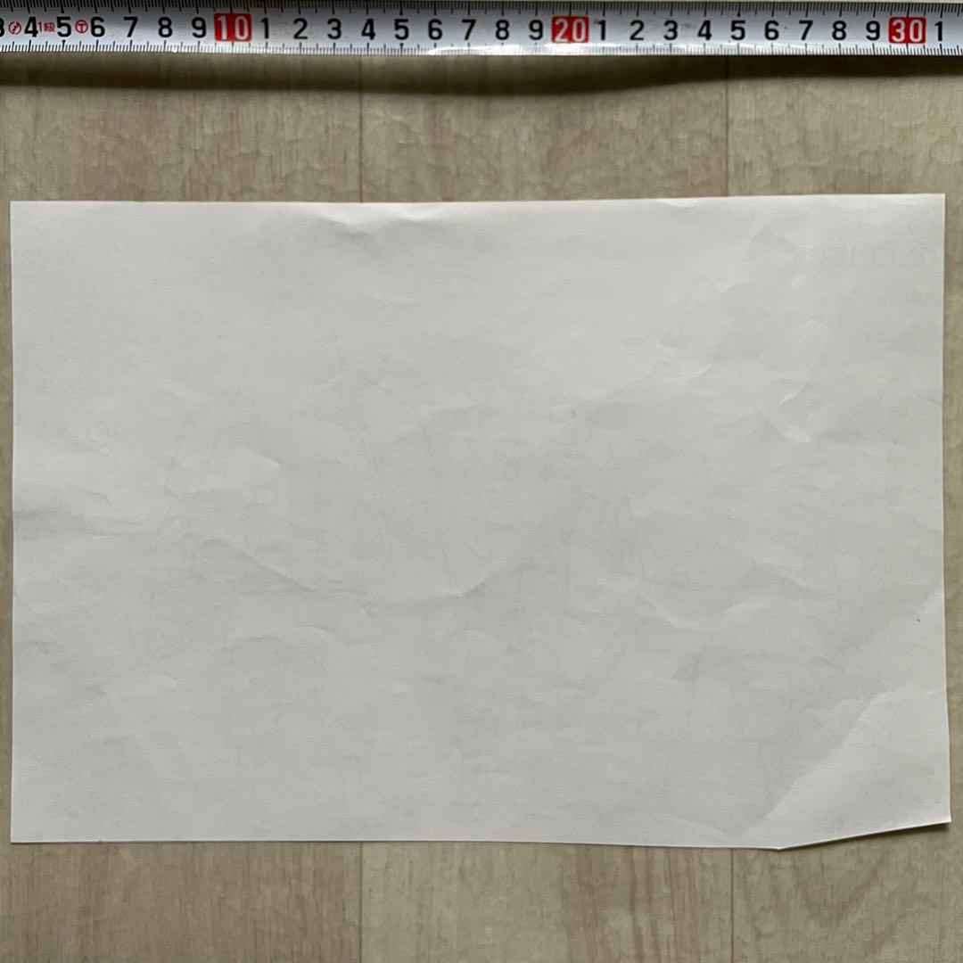 決定稿 1枚 設定資料 メンドウ Mendo & ロロノア・ゾロ Zoro