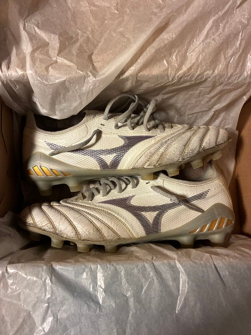 モレリアネオ3 β