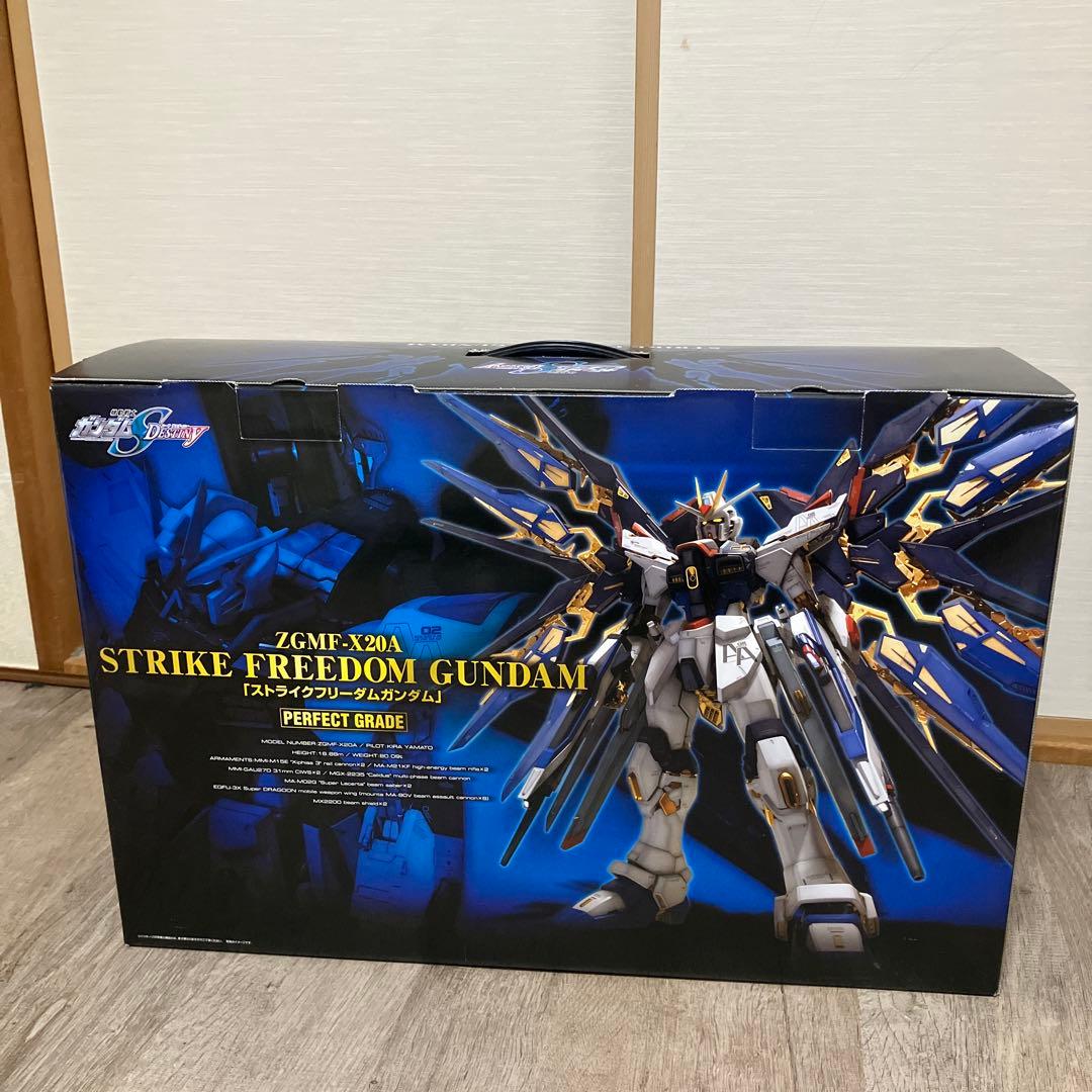 ⚠️ジャンク品！ZGMF-X20A ストライクフリーダムガンダム PG