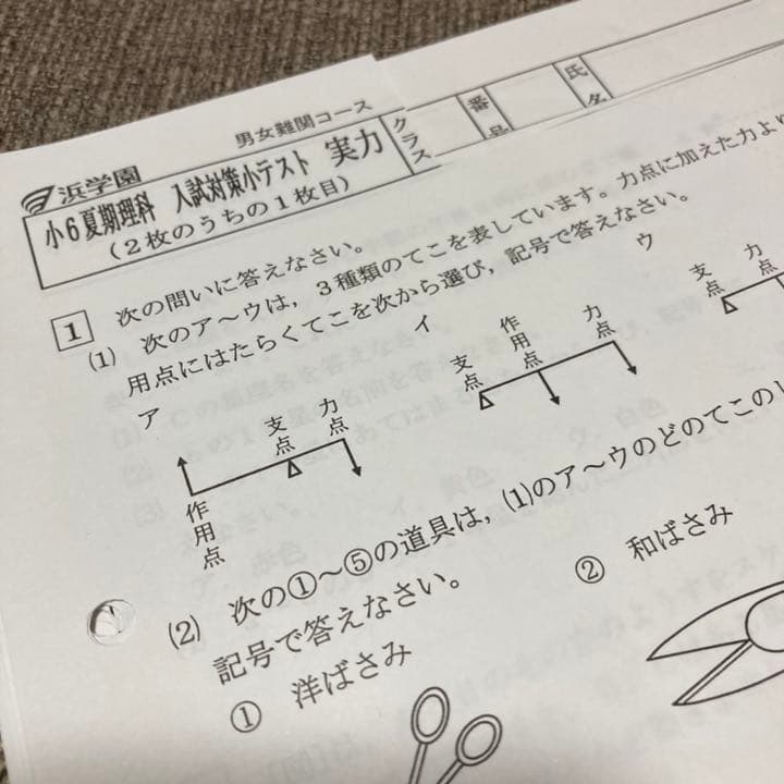 no22503105_【浜学園】小6理科　復習テスト・年間フルセット　おまけ付