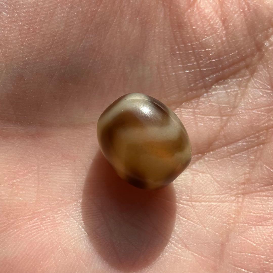 水紋虎牙 天珠 Dzi bead ①