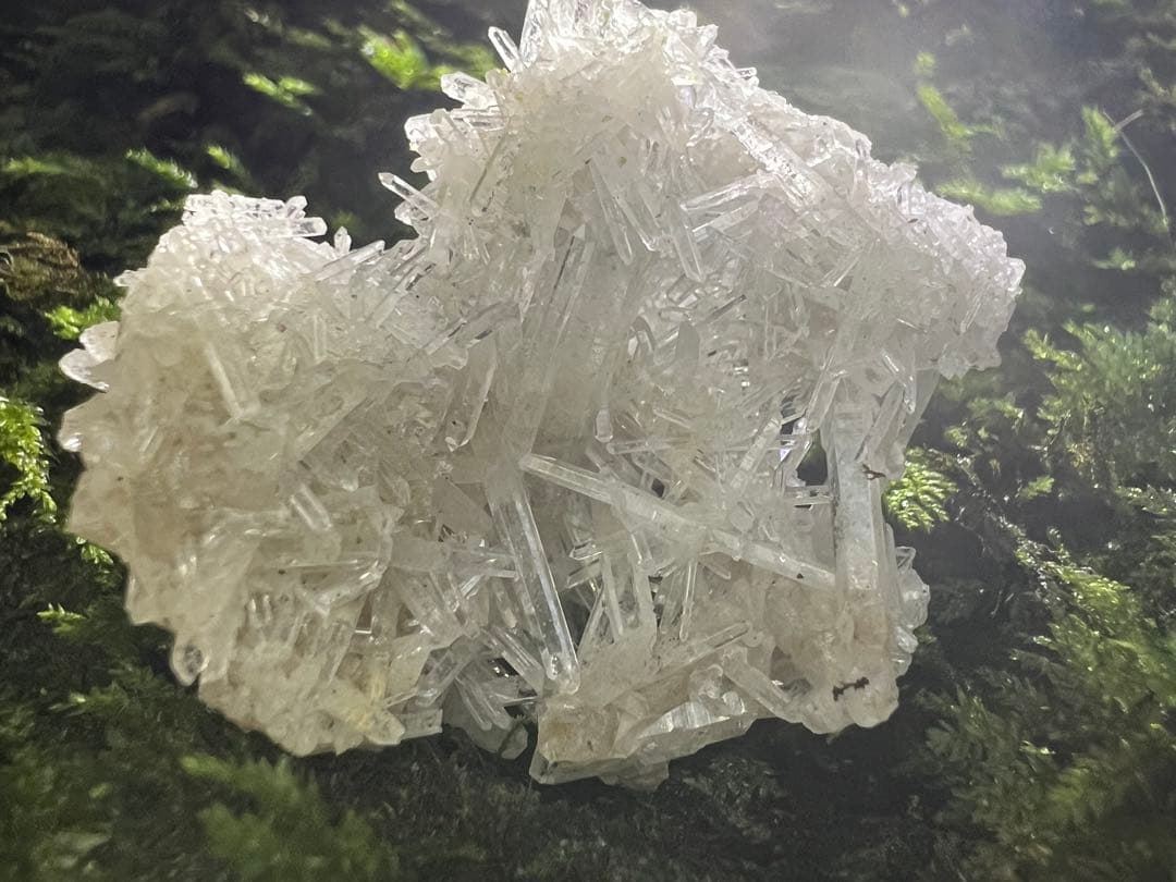 龍脈の精髄 ⭐︎国産クラスター ⭐︎ 「聖域を生む結晶の調和」