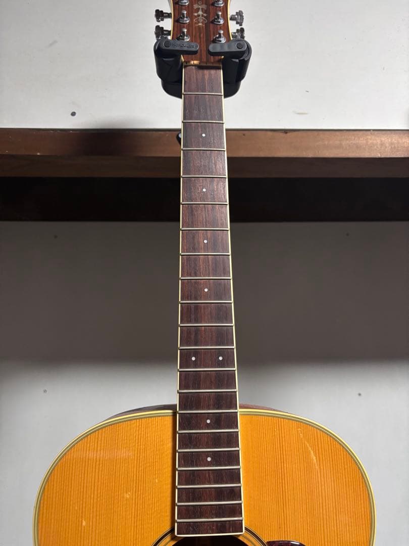 トップ単板、コルト　　セミジャンボ タイプアコースティックギター