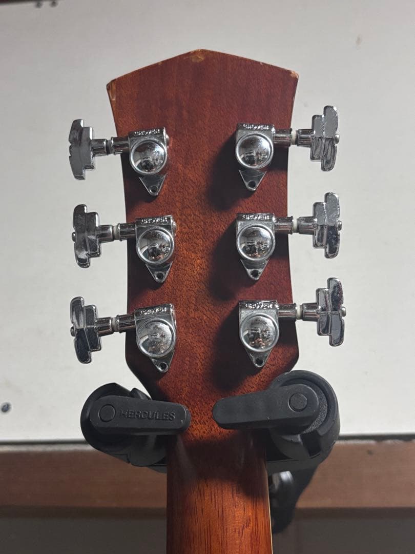 トップ単板、コルト　　セミジャンボ タイプアコースティックギター