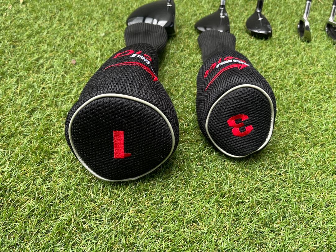 ワールドイーグル F-01α Rフレックス 10本セット＋スリクソンドライバー