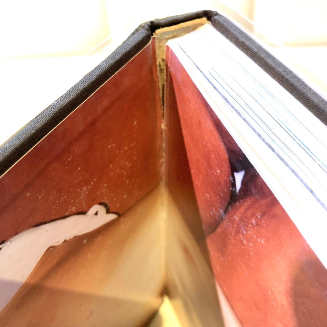 Juergen Teller ユルゲン・テラー 写真集