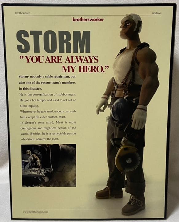 鉄人兄弟 × HOTTOYS　マイケルラウMUST&STORM2体セット