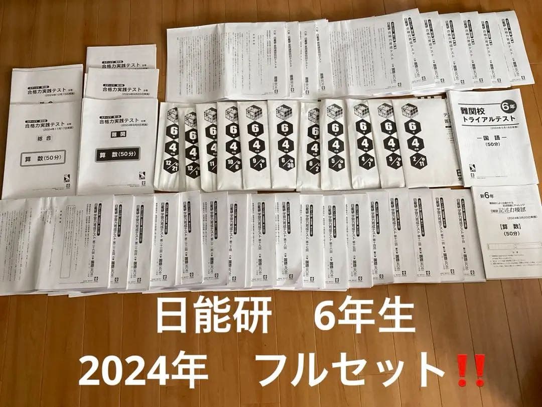 最新！日能研2024年6年生 全国公開模試　育成テスト等フルセット