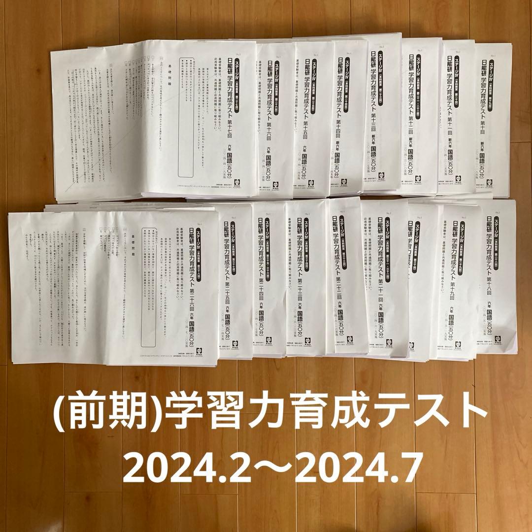 最新！日能研2024年6年生 全国公開模試　育成テスト等フルセット
