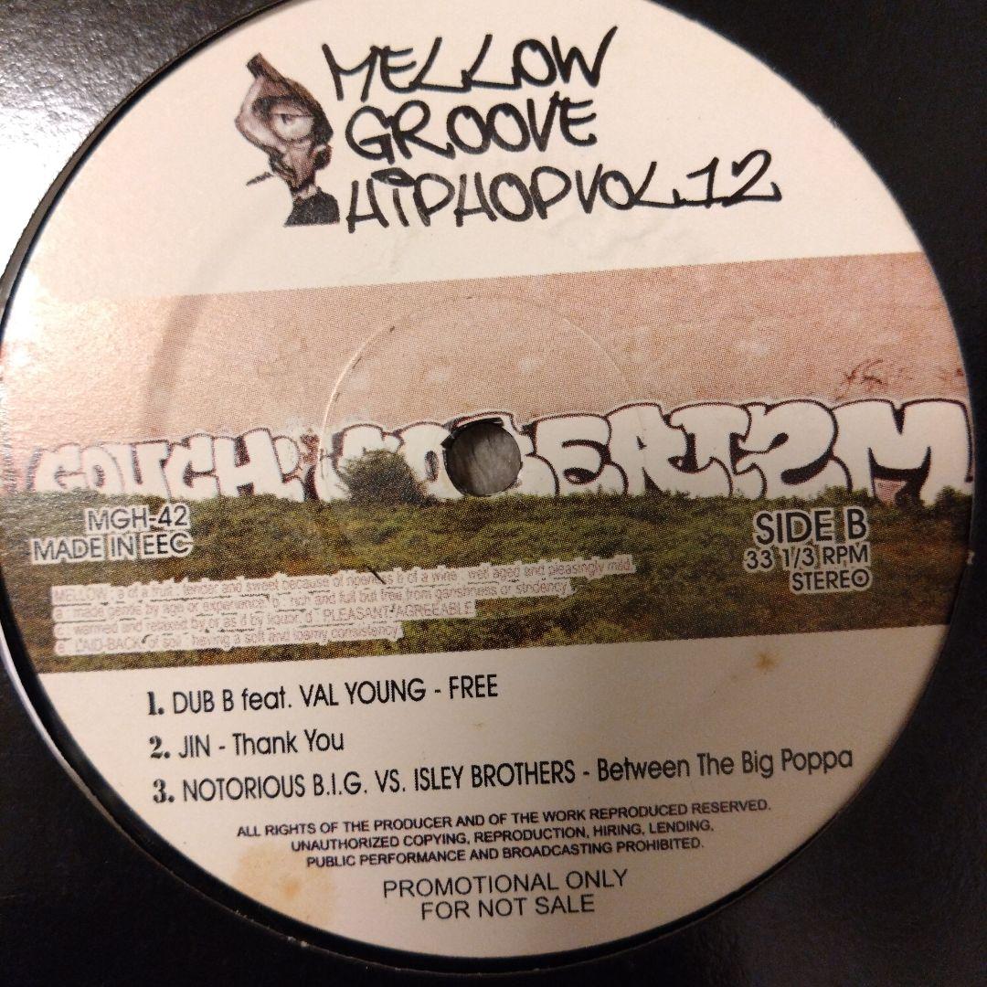 mellow groove HIPHOP 8枚 ビギー1枚