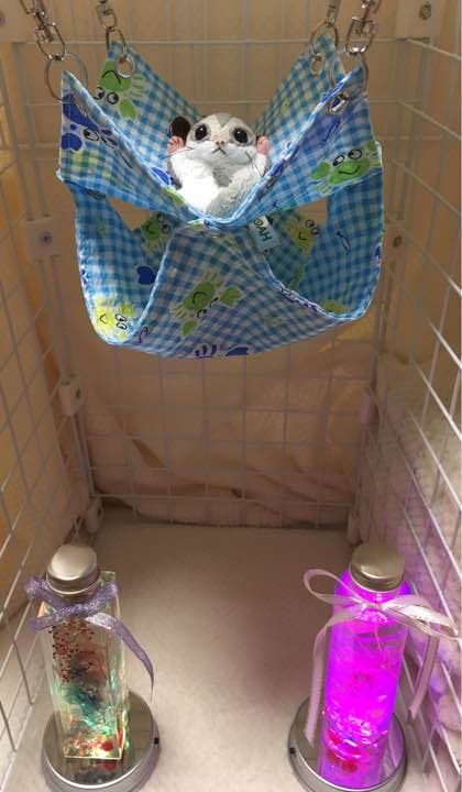 モモンガハウス(蟹チェック柄) 夏仕様  涼しい夏生地を使用❗️1450円