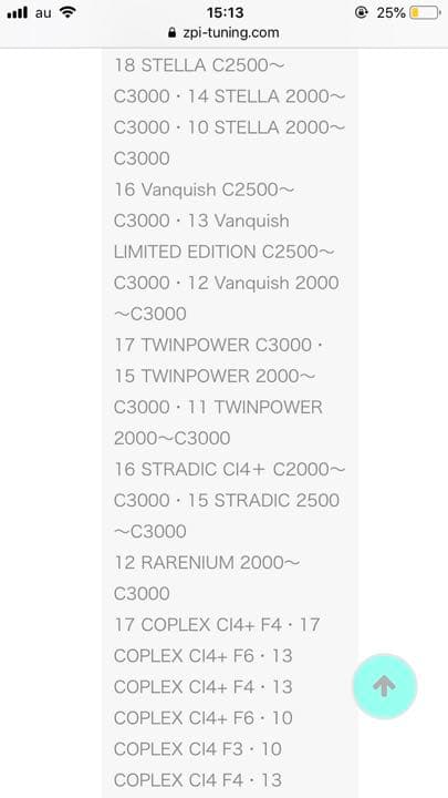 ZPI ブリストルカーボンハンドル