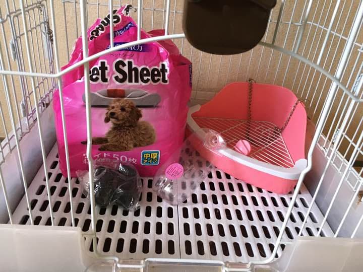 うさぎのケージ、給水ボトル、トイレ