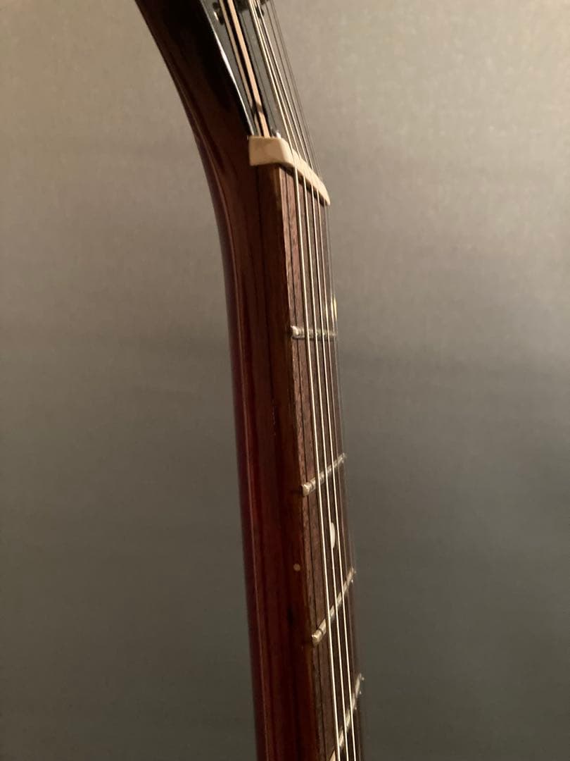 Epiphone by Gibsonレスポール スペシャル customshop