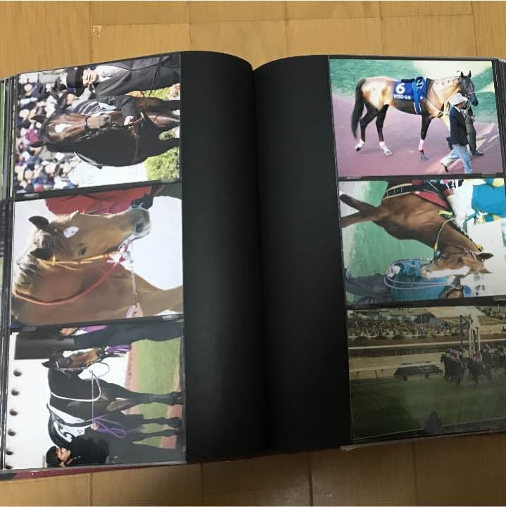 名馬 生写真 写真集 レース写真 種牡馬 競走馬 アルバム 競馬