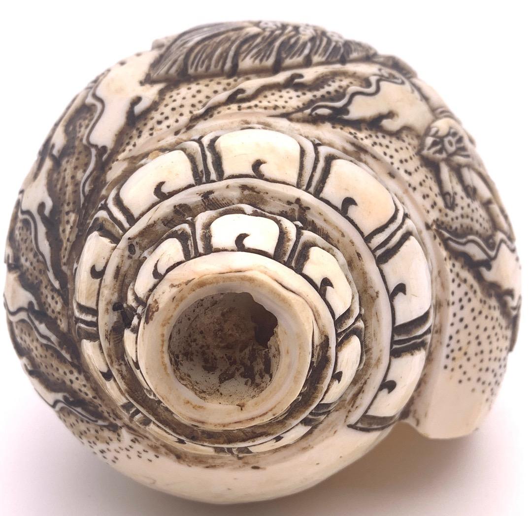 ◆チベット密教法具　法螺貝（シャンカ）ヴァジュラ・パーニ（金剛手）