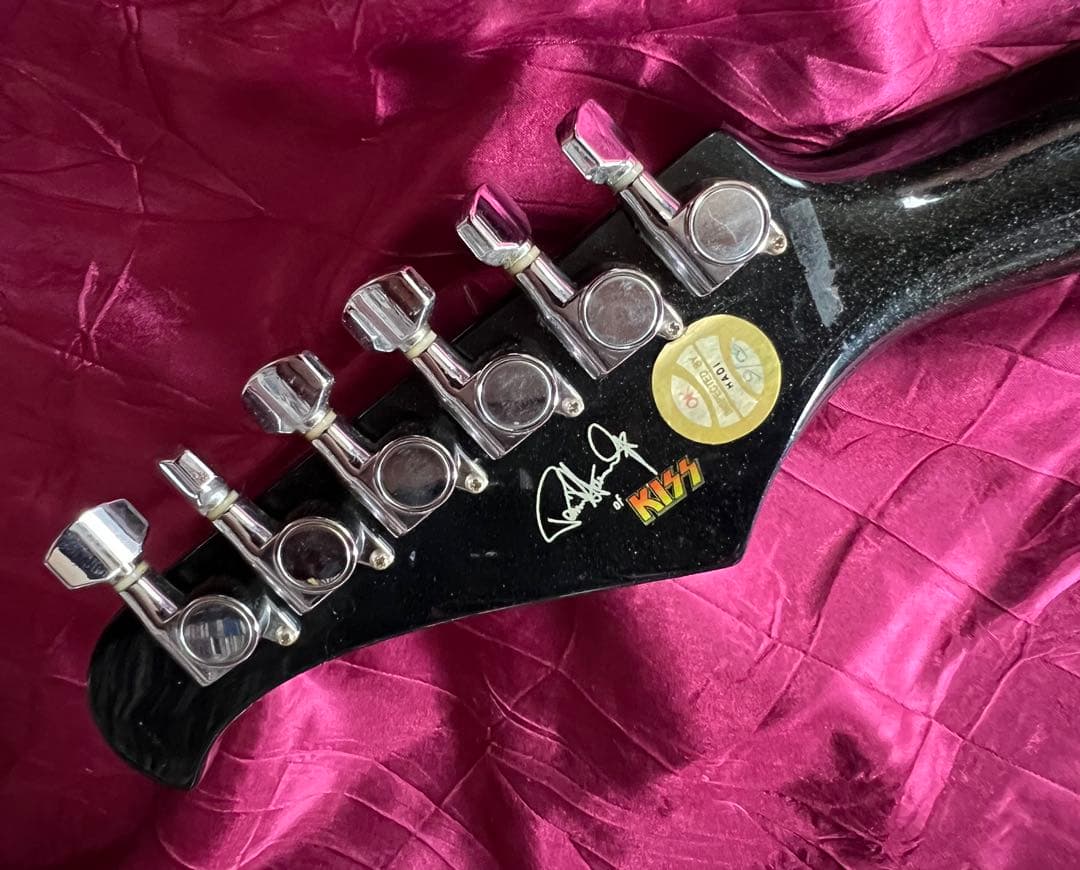 Silvertone シルバートーンGuitar ポール・スタンレー PSAP1