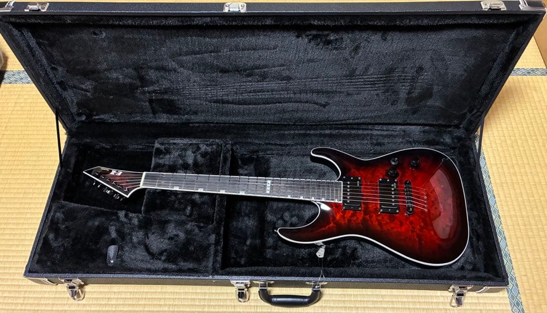E-Ⅱ HORIZON ＮT-Ⅱ Black Cherry Sunburst